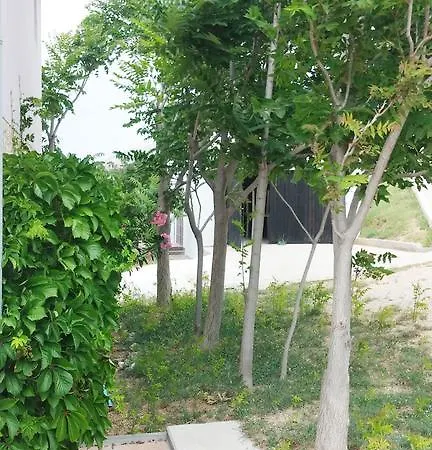 Twins Apartman Pag Town